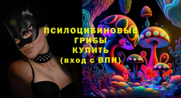 мдпв Беломорск