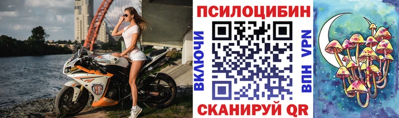 Псилоцибиновые грибы Psilocybe  hydra ONION  Губкинский  купить наркотик 