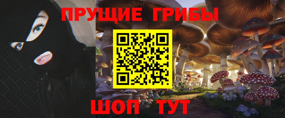 Губкинский  Галлюциногенные грибы прущие грибы  Вход с VPN 